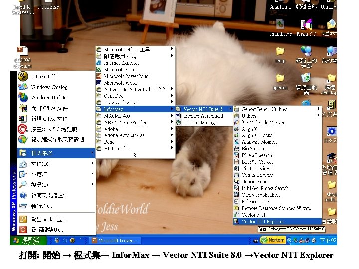 打開: 開始 → 程式集→ Infor. Max → Vector NTI Suite 8. 0 →Vector NTI