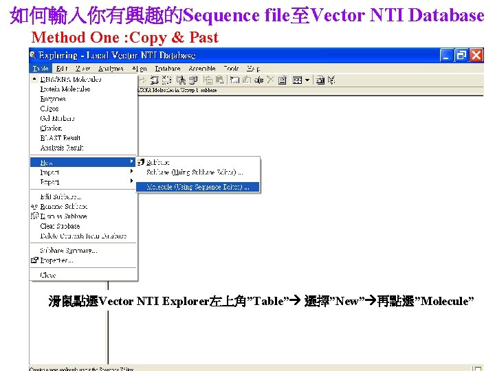 如何輸入你有興趣的Sequence file至Vector NTI Database Method One : Copy & Past 滑鼠點選Vector NTI Explorer左上角”Table” 選擇”New”