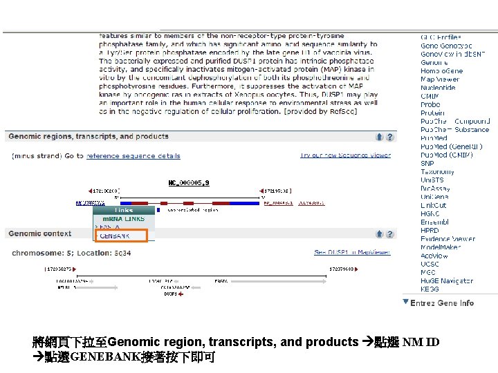 將網頁下拉至Genomic region, transcripts, and products 點選 NM ID 點選GENEBANK接著按下即可 