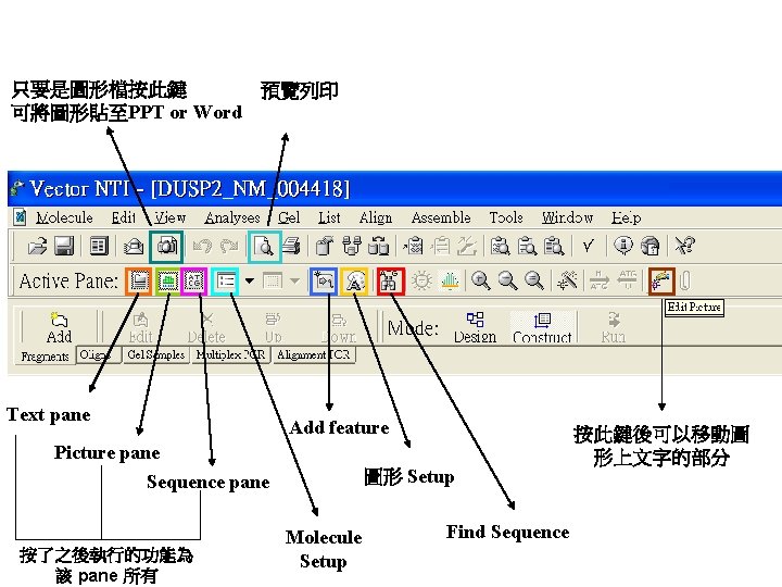 只要是圖形檔按此鍵 預覽列印 可將圖形貼至PPT or Word Text pane Add feature Picture pane 圖形 Setup Sequence