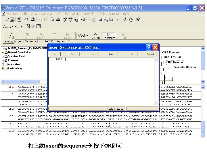 打上欲Insert的sequence 按下OK即可 
