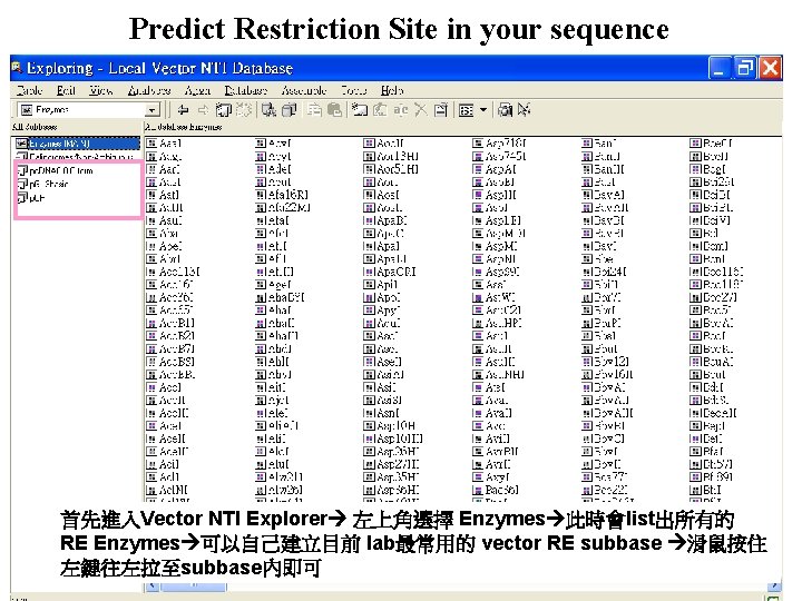 Predict Restriction Site in your sequence 首先進入Vector NTI Explorer 左上角選擇 Enzymes 此時會list出所有的 RE Enzymes