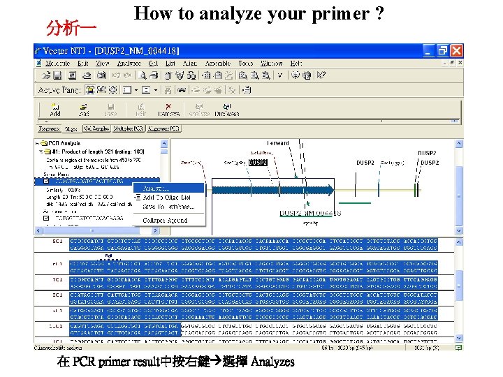 分析一 How to analyze your primer ? 在 PCR primer result中按右鍵 選擇 Analyzes 