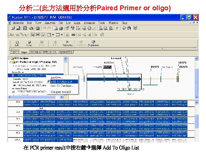 分析二(此方法適用於分析Paired Primer or oligo) 在 PCR primer result中按右鍵 選擇 Add To Oligo List 