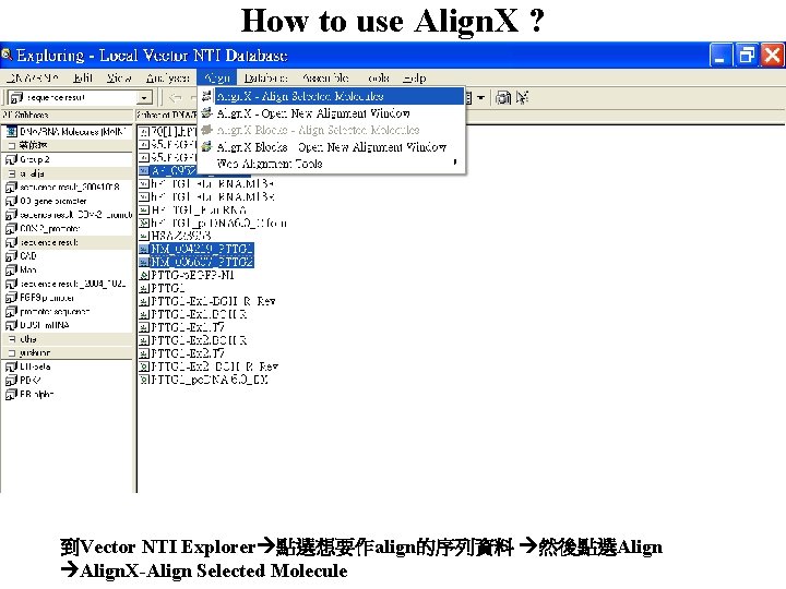 How to use Align. X ? 到Vector NTI Explorer 點選想要作align的序列資料 然後點選Align. X-Align Selected Molecule