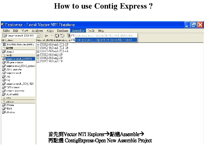 How to use Contig Express ? 首先到Vector NTI Explorer 點選Assemble 再點選 Contig. Express-Open New