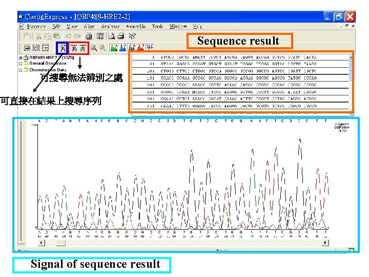 Sequence result 可搜尋無法辨別之處 可直接在結果上搜尋序列 Signal of sequence result 