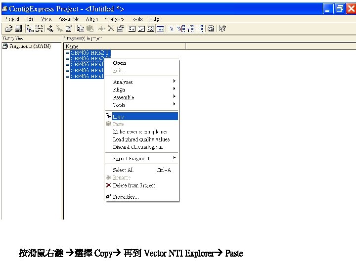 按滑鼠右鍵 選擇 Copy 再到 Vector NTI Explorer Paste 