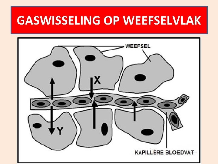 GASWISSELING OP WEEFSELVLAK 