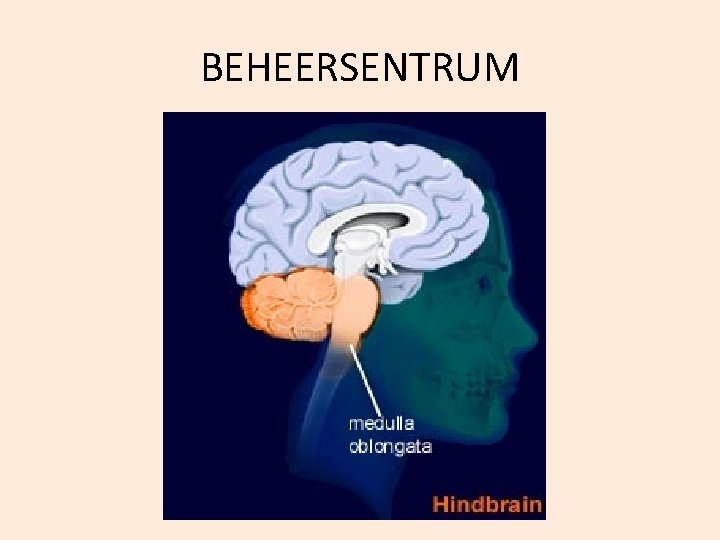 BEHEERSENTRUM 