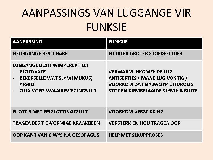 AANPASSINGS VAN LUGGANGE VIR FUNKSIE AANPASSING FUNKSIE NEUSGANGE BESIT HARE FILTREER GROTER STOFDEELTJIES LUGGANGE