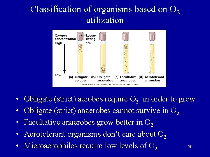 Classification of organisms based on O 2 utilization • • • Obligate (strict) aerobes