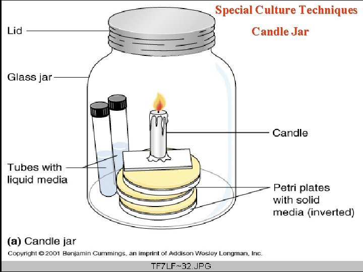 Special Culture Techniques Candle Jar 37 