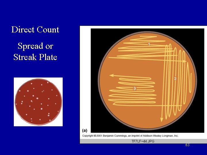Direct Count Spread or Streak Plate 63 