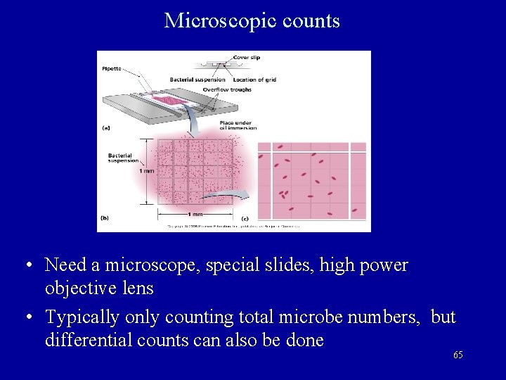 Microscopic counts • Need a microscope, special slides, high power objective lens • Typically