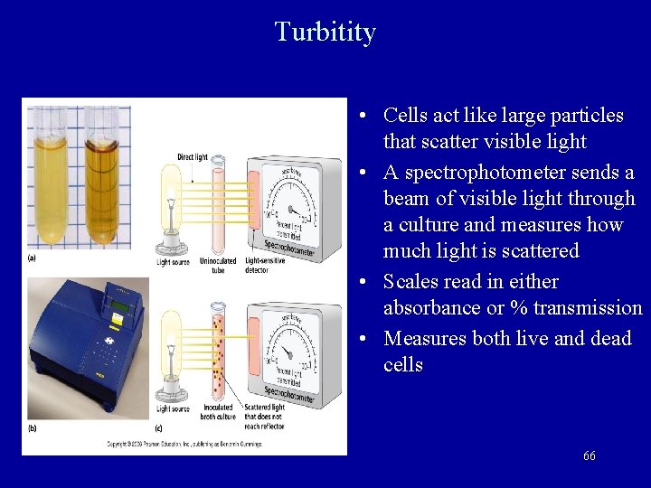 Turbitity • Cells act like large particles that scatter visible light • A spectrophotometer