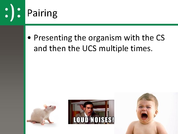 Pairing • Presenting the organism with the CS and then the UCS multiple times.