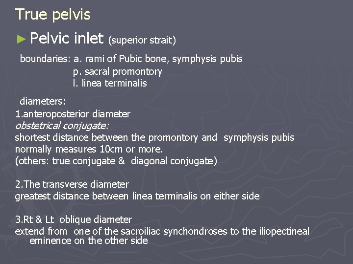 True pelvis ► Pelvic inlet (superior strait) boundaries: a. rami of Pubic bone, symphysis