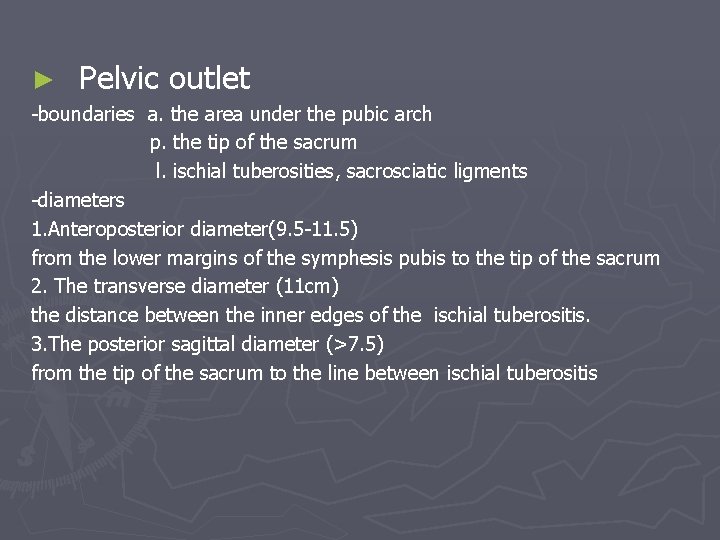 ► Pelvic outlet -boundaries a. the area under the pubic arch p. the tip