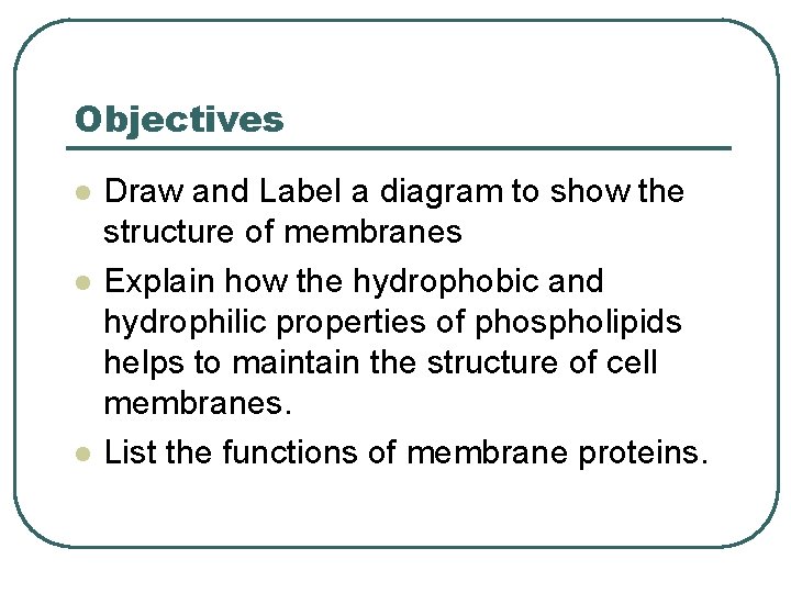 Objectives l l l Draw and Label a diagram to show the structure of