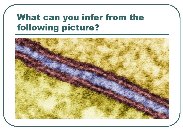 What can you infer from the following picture? 