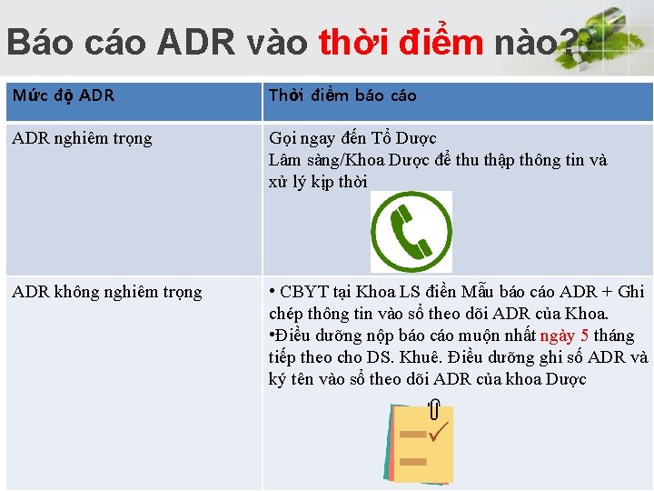  Báo cáo ADR vào thời điểm nào? Mức độ ADR Thời điểm báo