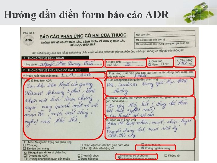  Hướng dẫn điền form báo cáo ADR 