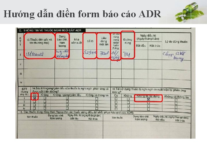 Hướng dẫn điền form báo cáo ADR Hướng dẫn điền form báo cáo ADR