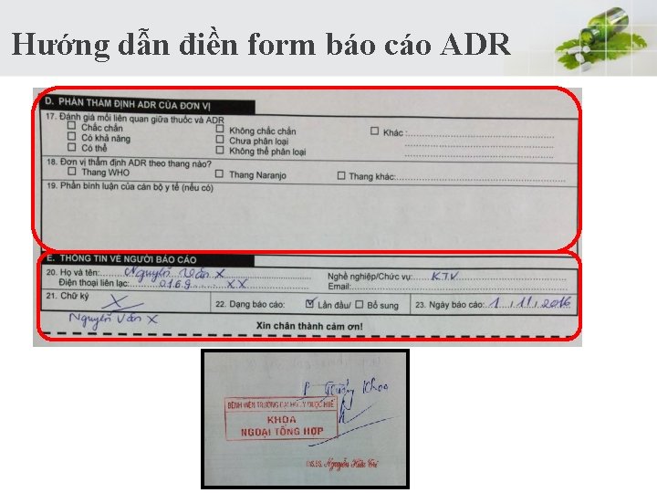  Hướng dẫn điền form báo cáo ADR 