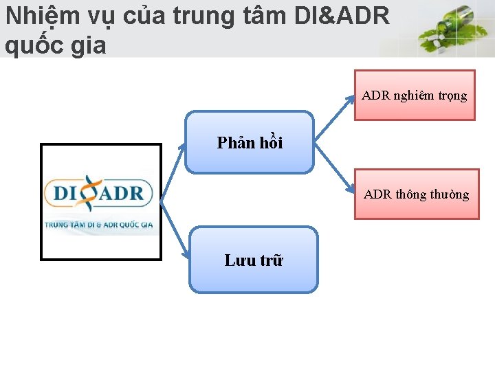 Nhiệm vụ của trung tâm DI&ADR quốc gia ADR nghiêm trọng Phản hồi ADR