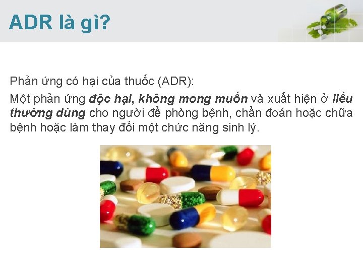 ADR là gì? Phản ứng có hại của thuốc (ADR): Một phản ứng ADR là gì? Phản ứng có hại của thuốc (ADR): Một phản ứng