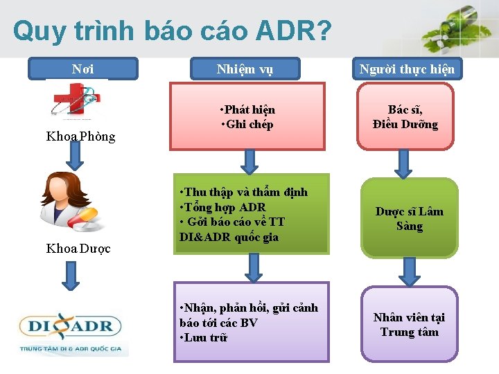  Quy trình báo cáo ADR? Nơi Khoa Phòng Khoa Dược Nhiệm vụ Người