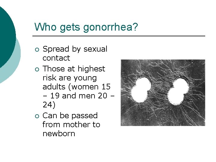 Who gets gonorrhea? ¡ ¡ ¡ Spread by sexual contact Those at highest risk