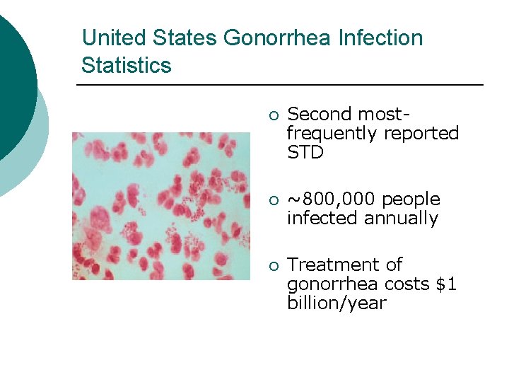 United States Gonorrhea Infection Statistics ¡ Second mostfrequently reported STD ¡ ~800, 000 people