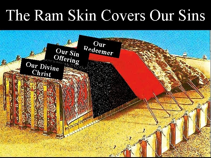 The Ram Skin Covers Our Sins Our Si Redeemer Offerinn g Our Div ine