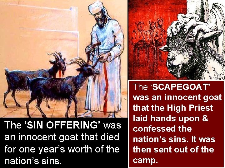 The ‘SIN OFFERING’ was an innocent goat that died for one year’s worth of