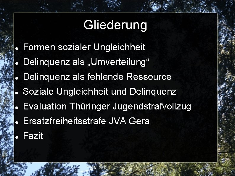 Gliederung Formen sozialer Ungleichheit Delinquenz als „Umverteilung“ Delinquenz als fehlende Ressource Soziale Ungleichheit und