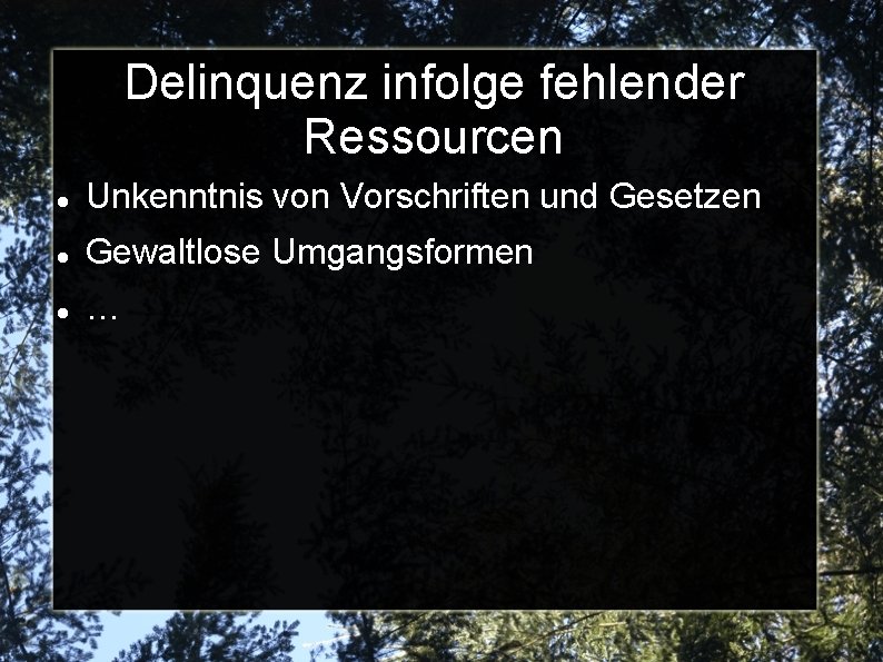Delinquenz infolge fehlender Ressourcen Unkenntnis von Vorschriften und Gesetzen Gewaltlose Umgangsformen … 