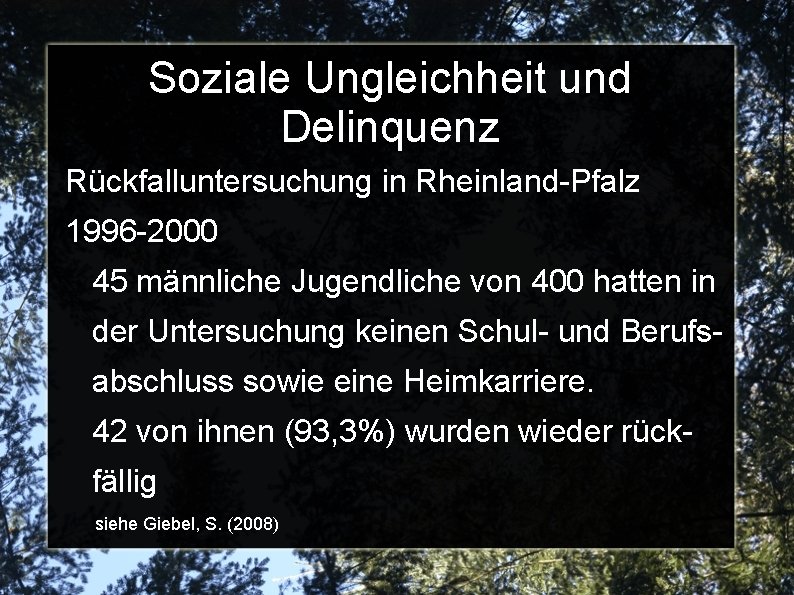 Soziale Ungleichheit und Delinquenz Rückfalluntersuchung in Rheinland-Pfalz 1996 -2000 45 männliche Jugendliche von 400