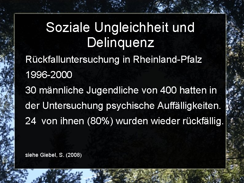 Soziale Ungleichheit und Delinquenz Rückfalluntersuchung in Rheinland-Pfalz 1996 -2000 30 männliche Jugendliche von 400