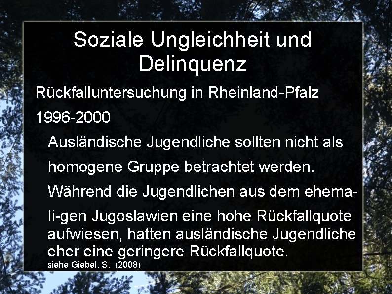 Soziale Ungleichheit und Delinquenz Rückfalluntersuchung in Rheinland-Pfalz 1996 -2000 Ausländische Jugendliche sollten nicht als