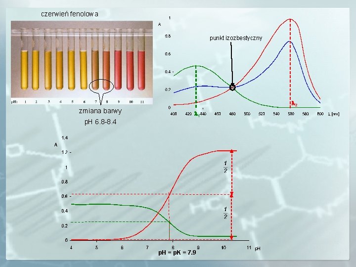  czerwień fenolowa punkt izozbestyczny zmiana barwy p. H 6. 8 -8. 4 2