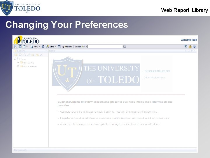  Web Report Library Changing Your Preferences 