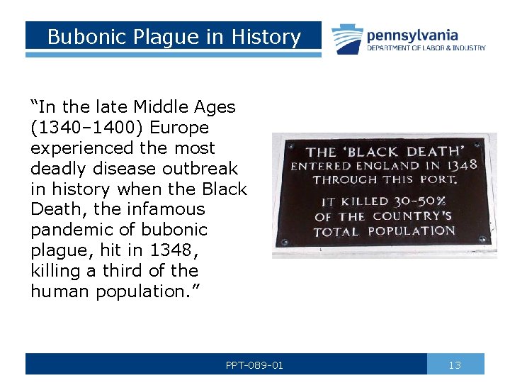 Bubonic Plague in History “In the late Middle Ages (1340– 1400) Europe experienced the