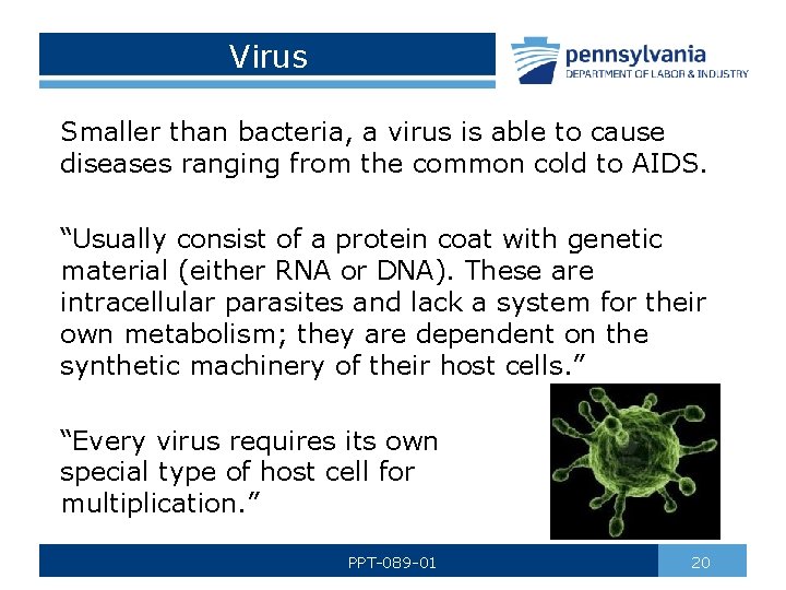 Virus Smaller than bacteria, a virus is able to cause diseases ranging from the