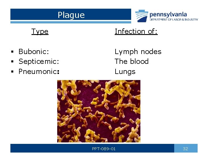 Plague Type § Bubonic: § Septicemic: § Pneumonic: Infection of: Lymph nodes The blood