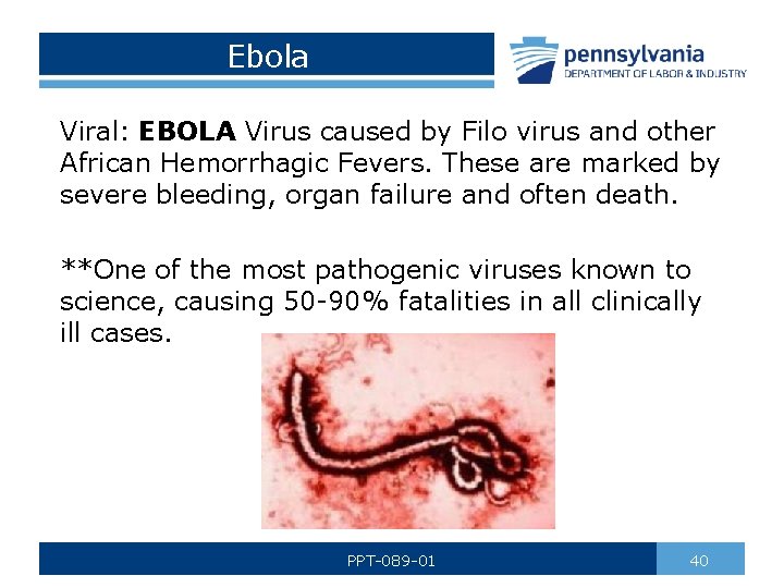 Ebola Viral: EBOLA Virus caused by Filo virus and other African Hemorrhagic Fevers. These