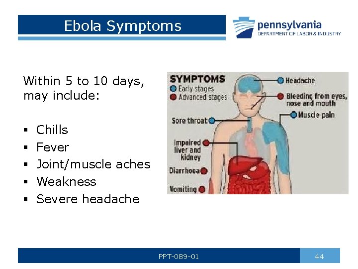 Ebola Symptoms Within 5 to 10 days, may include: § § § Chills Fever