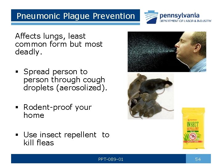 Pneumonic Plague Prevention Affects lungs, least common form but most deadly. § Spread person