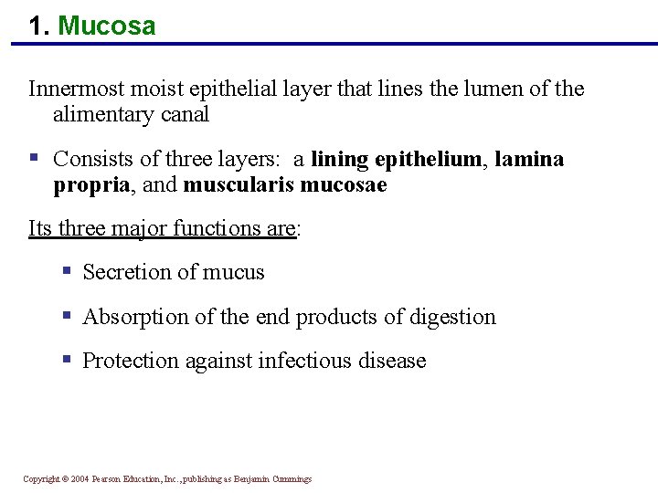 1. Mucosa Innermost moist epithelial layer that lines the lumen of the alimentary canal